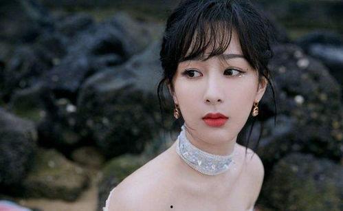 杨紫资讯爆料解说视频,幕后故事与精彩瞬间